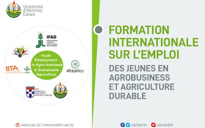 Formation Internationale sur l’emploi des Jeunes en Agrobusiness et Agriculture Durable